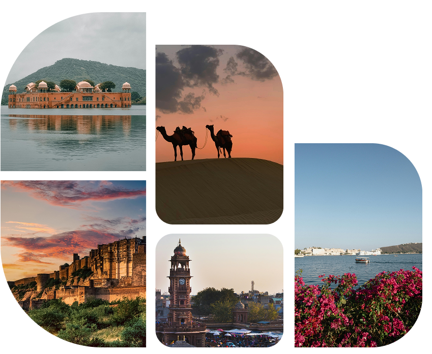 Travel Destination
